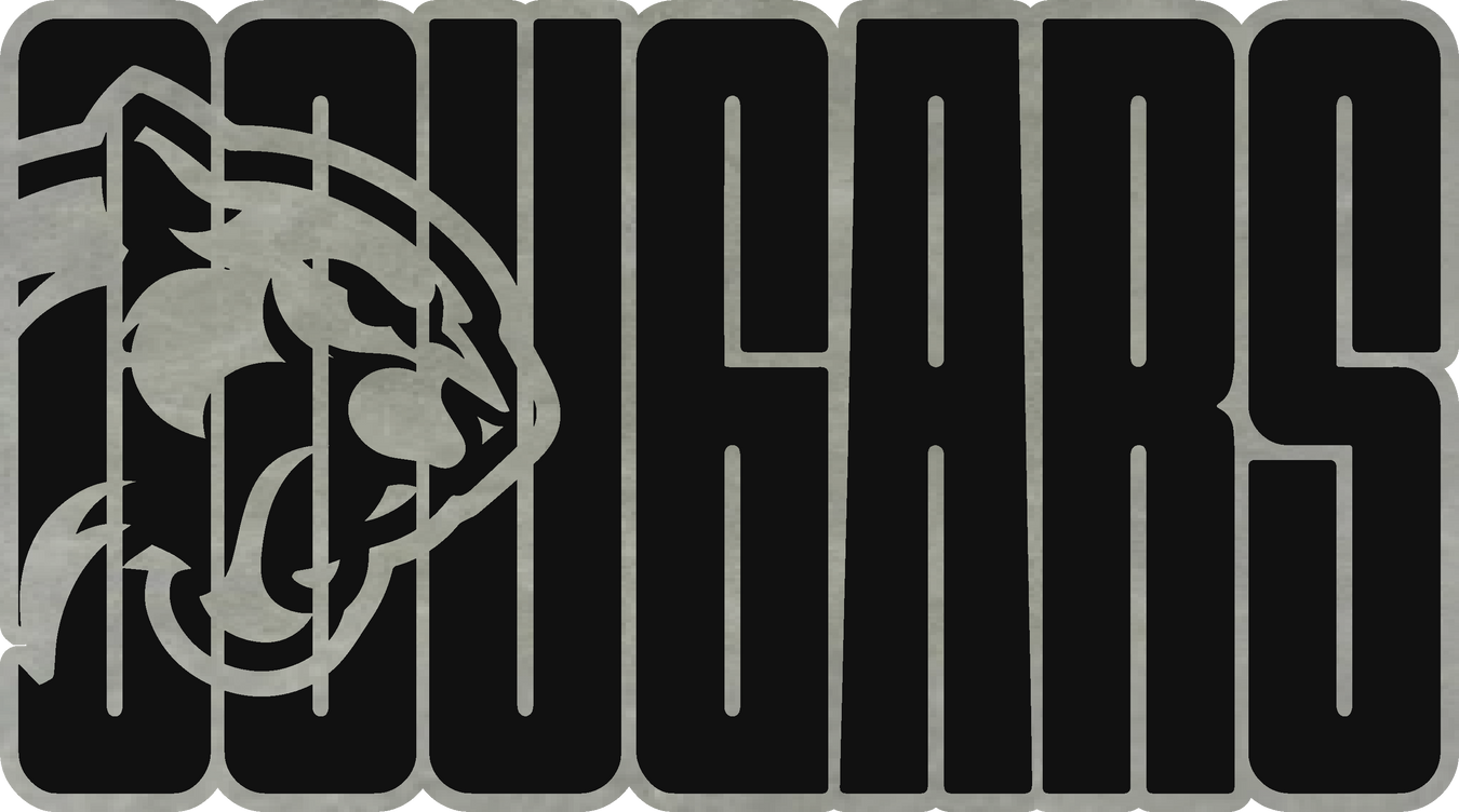 Morgan Elementary Spirit Wear